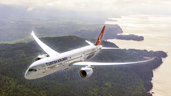 Турецкая авиакомпания приостановила до конца года полеты в Минск и Сочи