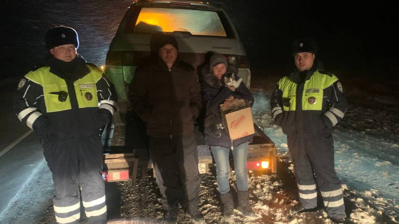 На трассе под Омском автоинспекция спасла семью глухонемых с котенком